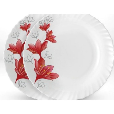 2N Soup Plate Assorted